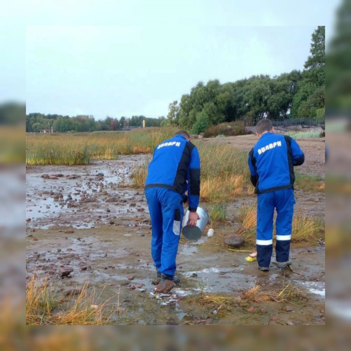 За неделю петербургские экологи очистили три водоема от нефтепродуктов - tvspb.ru
