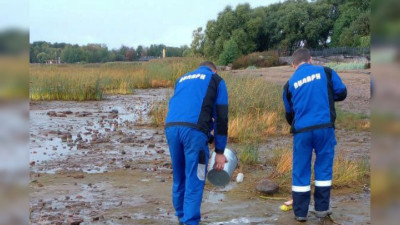 За неделю петербургские экологи очистили три водоема от нефтепродуктов