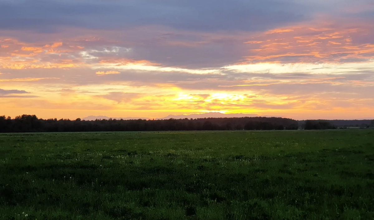 В Ленобласти 21 апреля ожидается резкий перепад температур: ночью до -9, днём до +15 - tvspb.ru