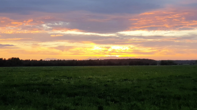 В Ленобласти 21 апреля ожидается резкий перепад температур: ночью до -9, днём до +15