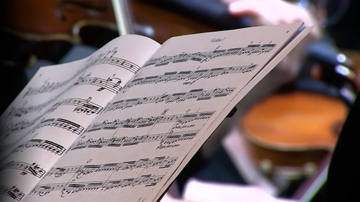 «Петербург-концерт» открывает новый театрально-концертный сезон - tvspb.ru