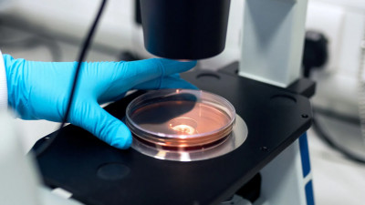 Политехнический музей представит мультимедийную выставку «Жизнь с вирусами»