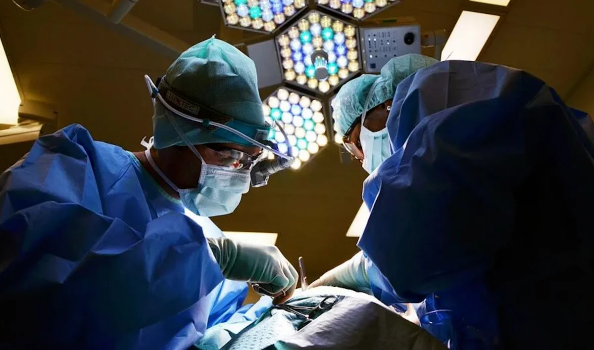 Петербургские врачи провели пятичасовую операцию по спасенью пальцев 11-летнего ребенка - tvspb.ru
