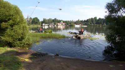 В Петербурге обсудили способы экологического оздоровления рек и озёр Северо-Запада