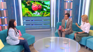 Улучшение иммунитета и настроения. Чем там полезна ягода малина?