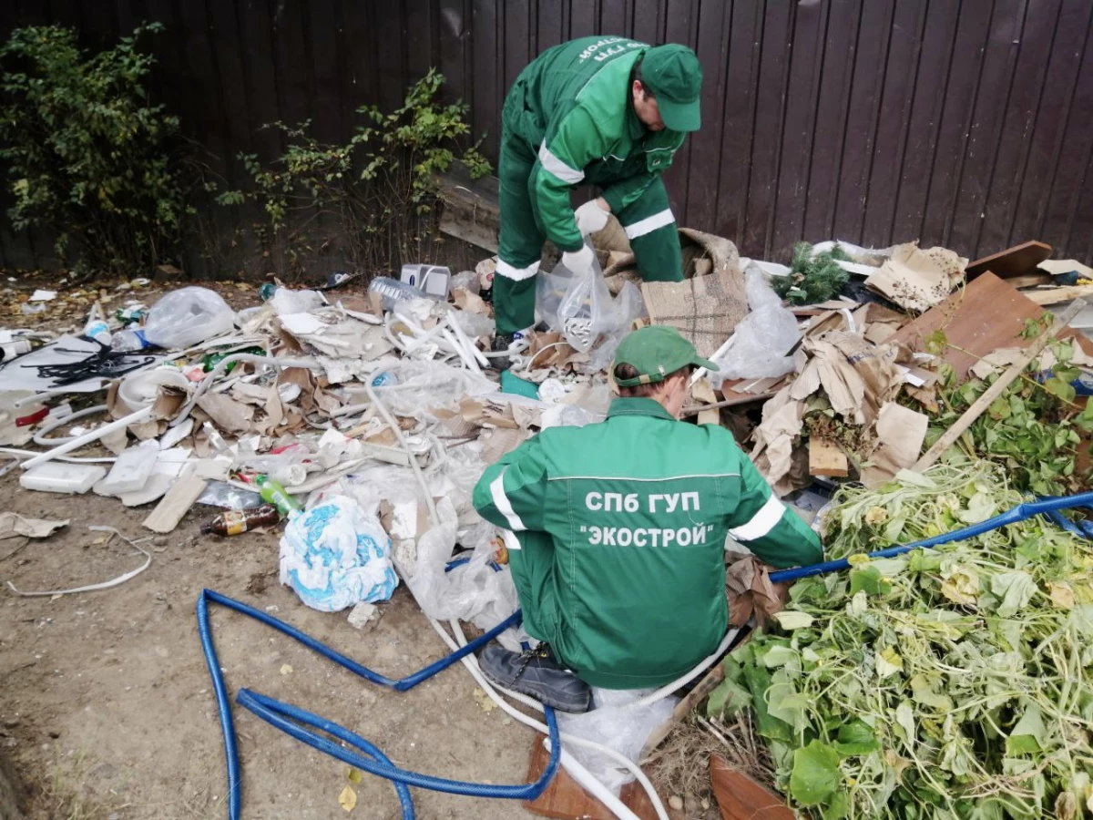 Больше 150 люминесцентных ламп вывезли с контейнерной площадки в Парголово - tvspb.ru