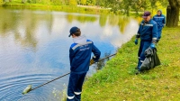 В Роскачестве объяснили, почему мусор у берегов водоемов опасен не только для рыб, но и для человека