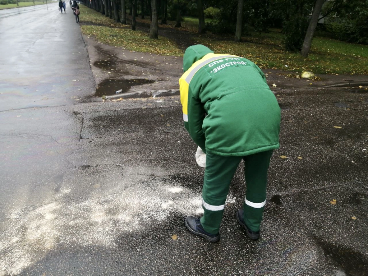 Экологи избавились от нефтяного пятна на тротуаре в Калининском районе - tvspb.ru