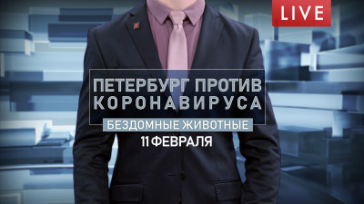 Петербург против коронавируса. Бездомные животные