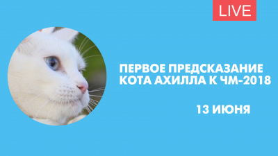 Первое предсказание кота Ахилла к ЧМ-2018. Онлайн-трансляция