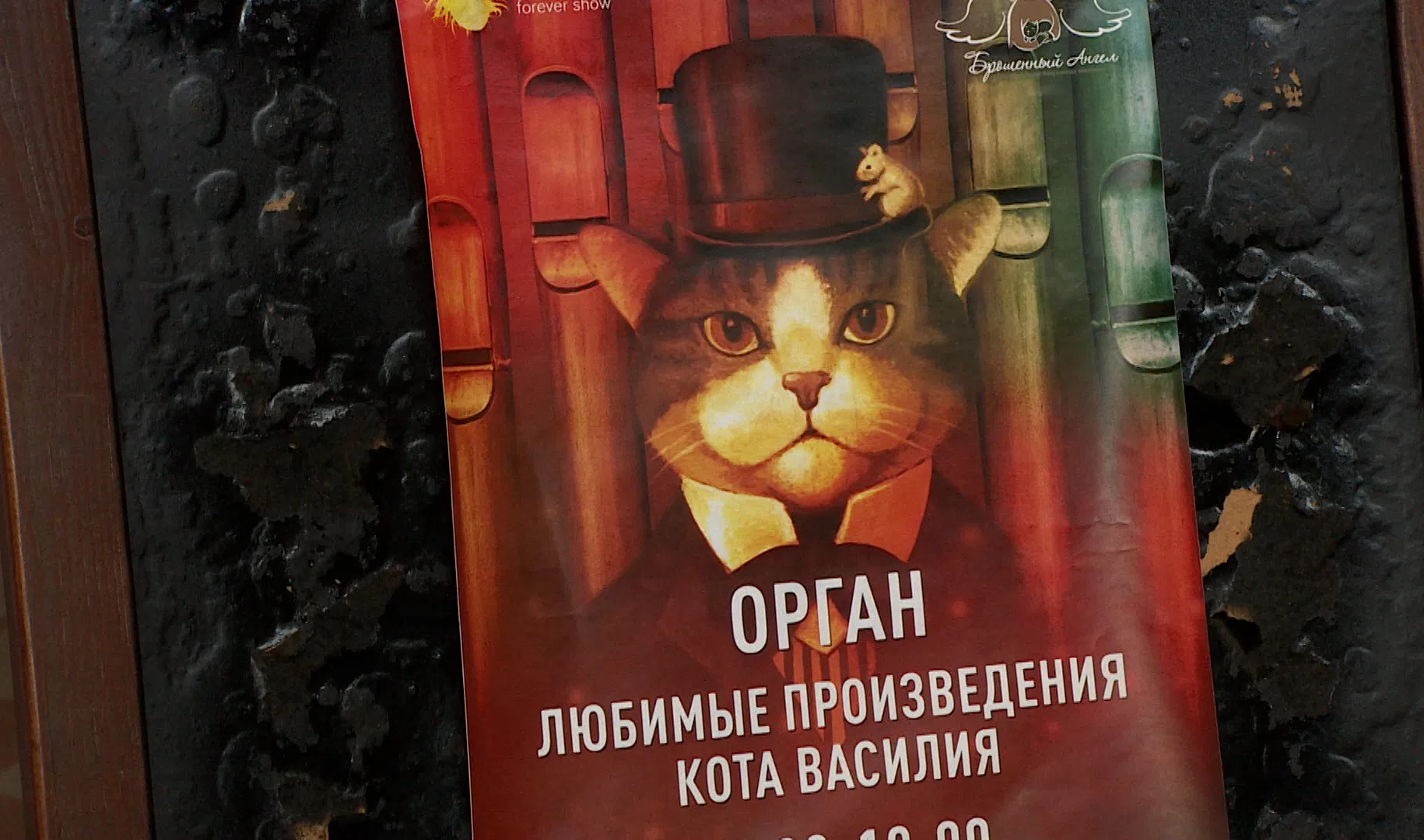Произведение про кота. Коты в произведениях литературы. Русские произведения с котом.