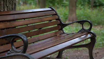 Балалаечники представят «Русское чудо» в Александровском парке