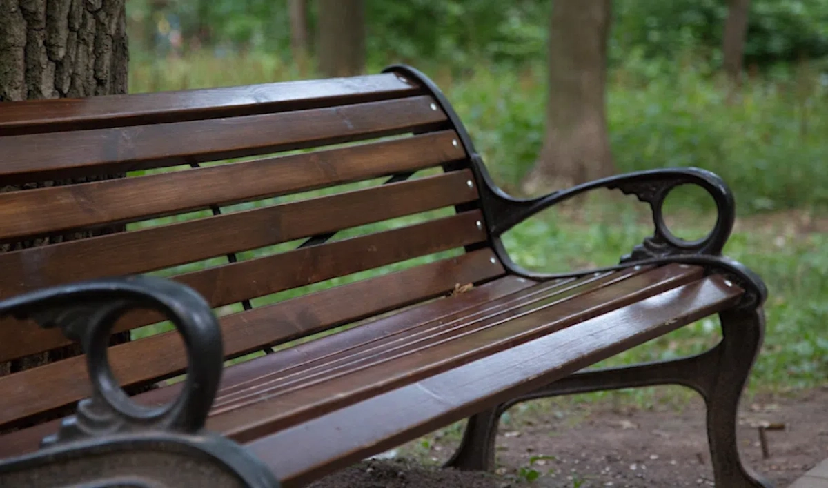 Новоохтинский парк ждет благоустройство - tvspb.ru