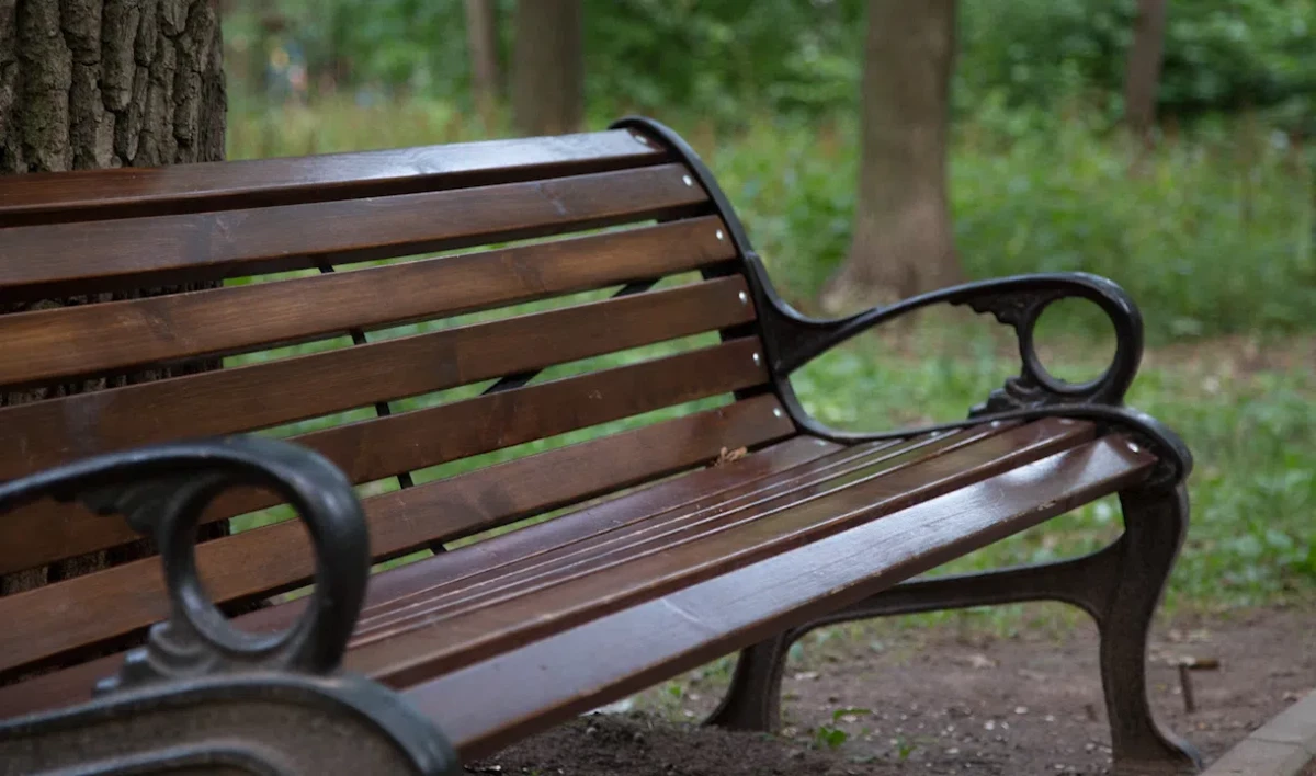 Зону отдыха благоустроят на набережной реки Смоленки - tvspb.ru