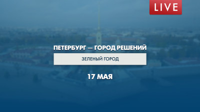Петербург — город решений. Зелёный город