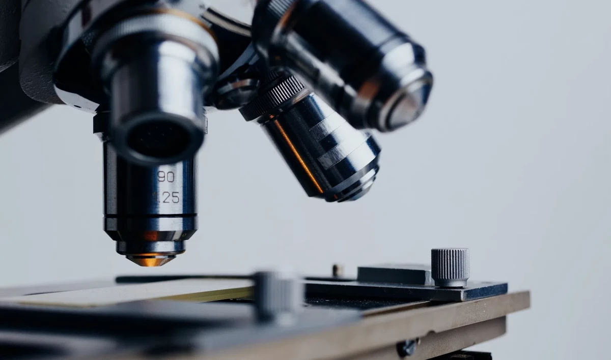 Россия и ДНР будут взаимно признавать научные звания и степени - tvspb.ru