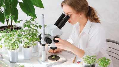 В ЛЭТИ разработали программируемую фитолампу для выращивания овощей в теплицах