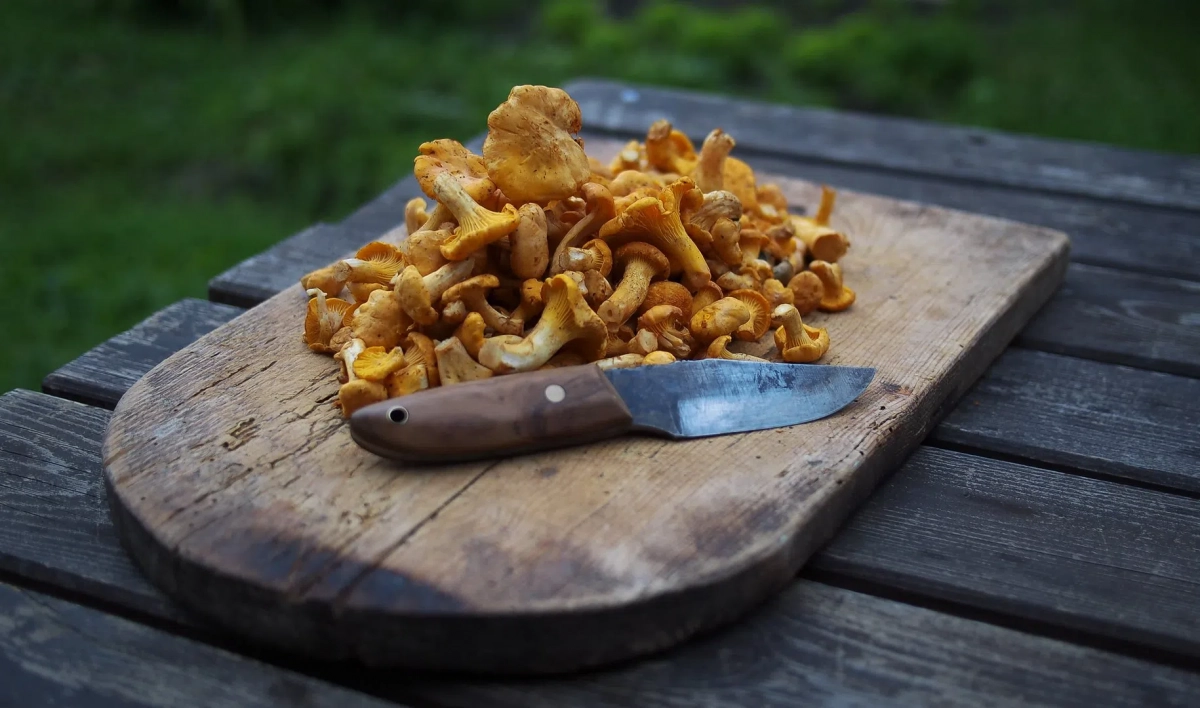 Эксперты назвали 7 причин, по которым стоит есть грибы - tvspb.ru