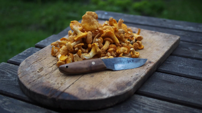 Эксперты назвали 7 причин, по которым стоит есть грибы