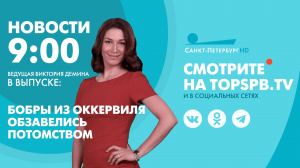 Новости. 9:00