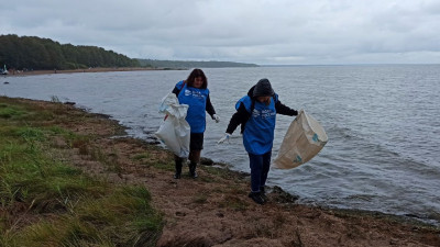 В рамках акции «Вода России» волонтеры очистили берег Финского залива в Смолячково