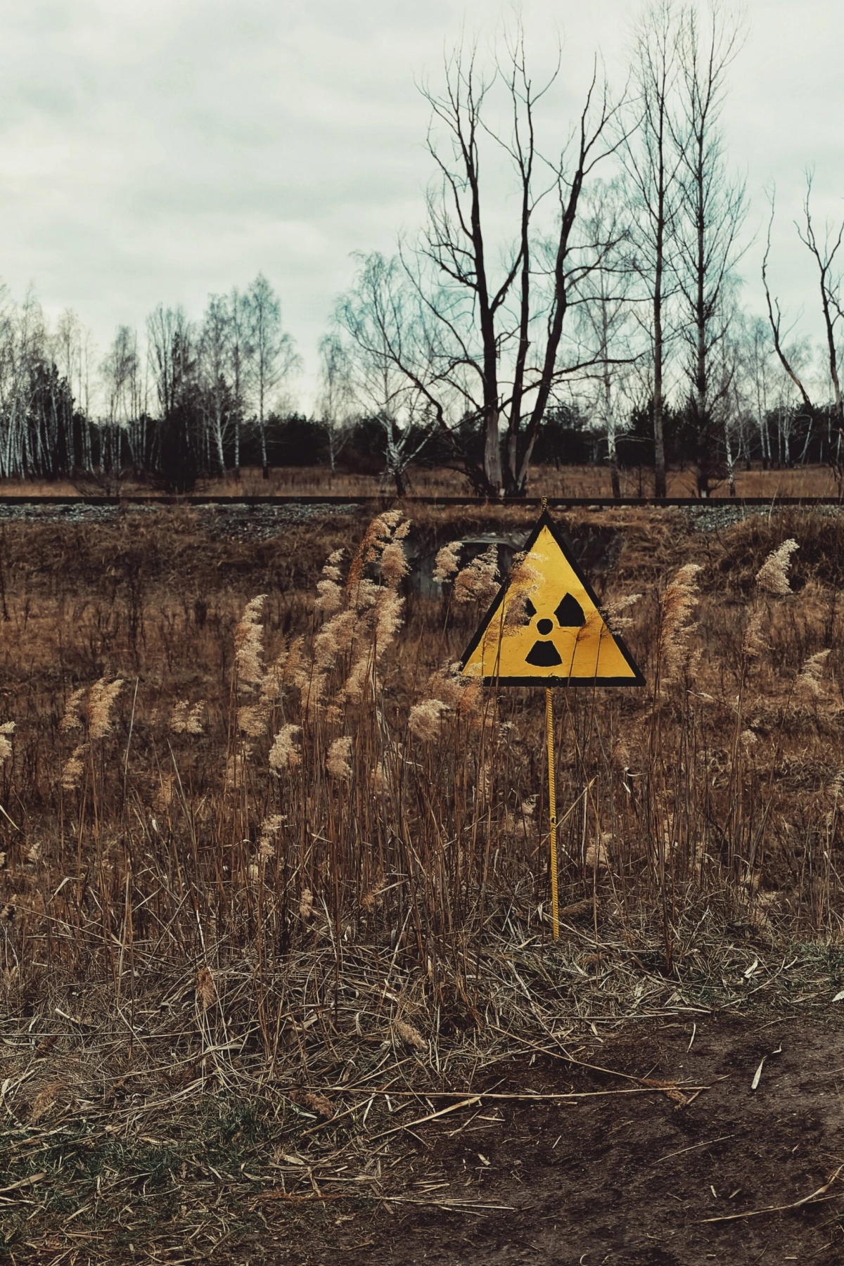 В ЛЭТИ разработали установку, которая повысит безопасность хранения радиоактивных отходов - tvspb.ru