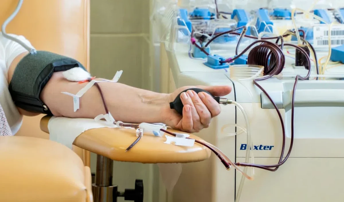 Врачи из ДНР посетили станцию переливания крови в Петербурге - tvspb.ru