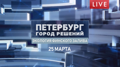 Петербург — город решений. Экология Финского залива