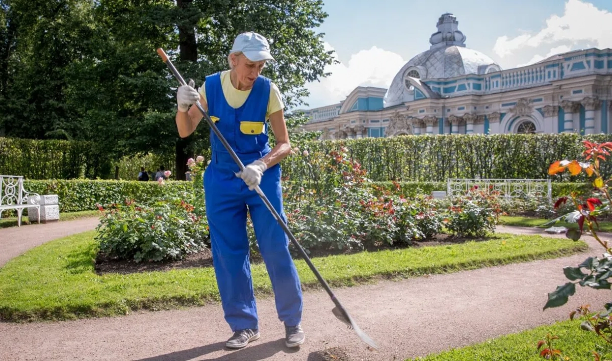 В Царском Селе рассказали о работе садовников Екатерининского парка - tvspb.ru