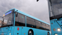 Вечером в субботу изменятся маршруты четырех петербургских автобусов