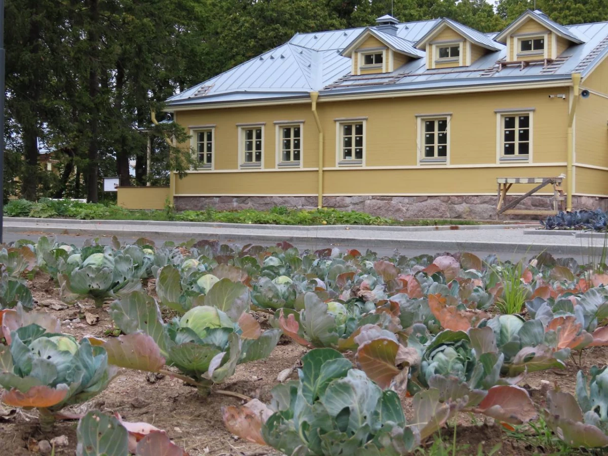 Сотрудники парка «Монрепо» поделились урожаем с гостями музея-заповедника - tvspb.ru