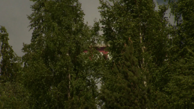 «Жёлтый» уровень погодной опасности из-за ветра будет действовать до полуночи