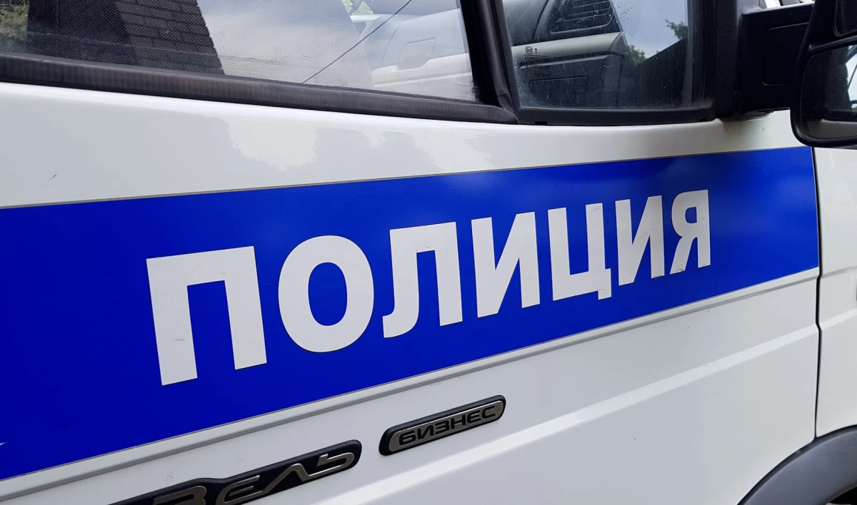 Полиция Петербурга перехватила угонщика с ножом - tvspb.ru