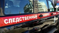 СК возбудит уголовное дело после группового избиения подростка в Петербурге