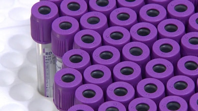 В Петербурге участникам испытаний назальной вакцины от ковида выплатят по 55 тысяч рублей