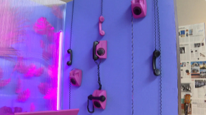 Творчество, спорт или совместная работа — общественные пространства Петербурга