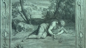 «О чём рассказали цветы»: выставка в Музее истории религии