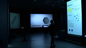 Жизнь с вирусами