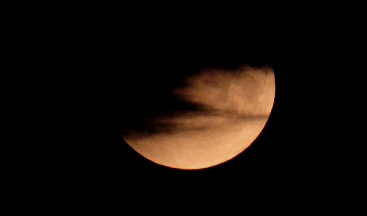 Петербуржцы делятся снимками лунного затмения - tvspb.ru