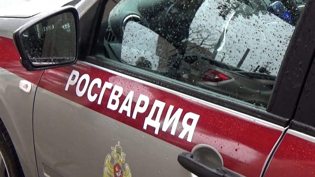 В Петербурге задержали хулигана, подозреваемого в повреждении имущества НИИ - tvspb.ru