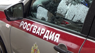 В Московском районе сотрудники Росгвардии задержали голого мужчину