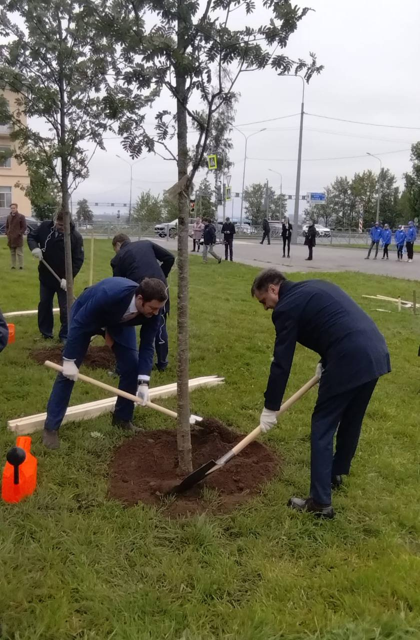 Поставь рябиновую ветвь на стол в стакане