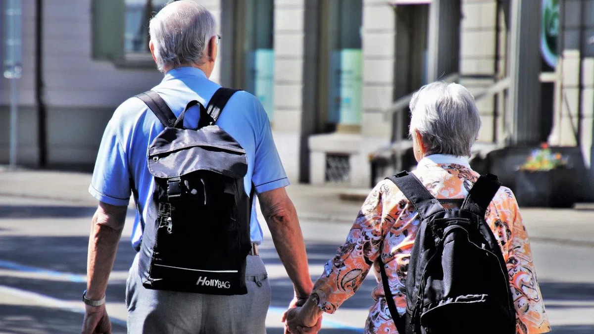 travel bags for senior citizens