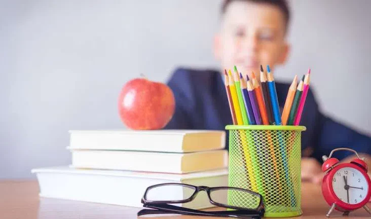 Нейропсихолог объяснила, как понять, что ребенку еще рано в школу - tvspb.ru