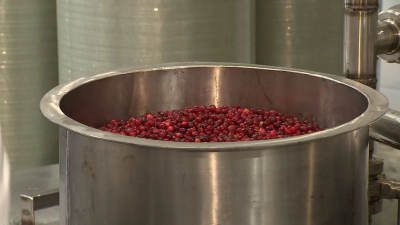 Два природных помощника, которые избавят заготовки на зиму от плесени