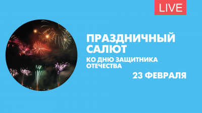 Cалют ко Дню защитника Отечества. Онлайн-трансляция