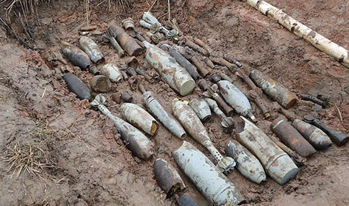 В Красносельском районе нашли 56 боеприпасов времен войны - tvspb.ru