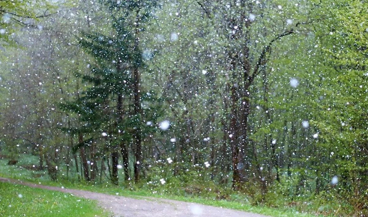 Жители Ленобласти увидят первые снежинки 29 сентября - tvspb.ru