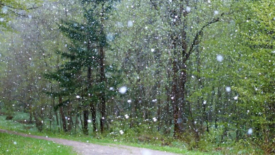 Жители Ленобласти увидят первые снежинки 29 сентября