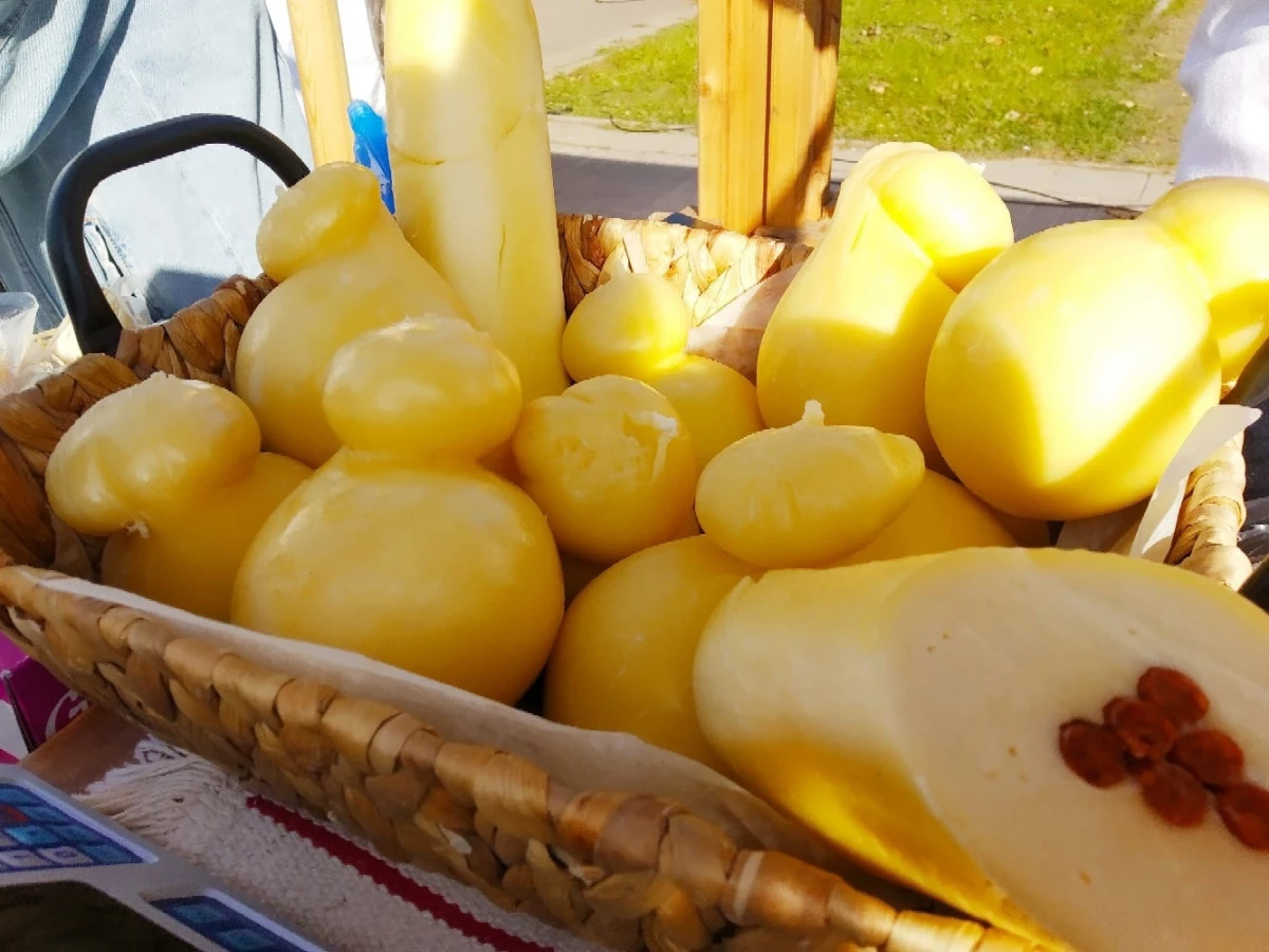 На фестиваль «Сырная деревня» привезут тонны сыра со всей России - tvspb.ru